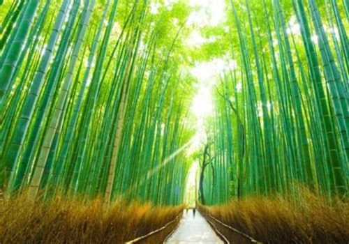 Unlocking Wealth: The Benefits of Stock Investing